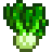Pak Choi