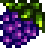 Traube