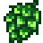Hopfen