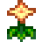 Sommerblume
