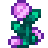 Fairy Rose